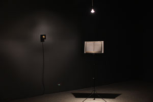 view of the show1